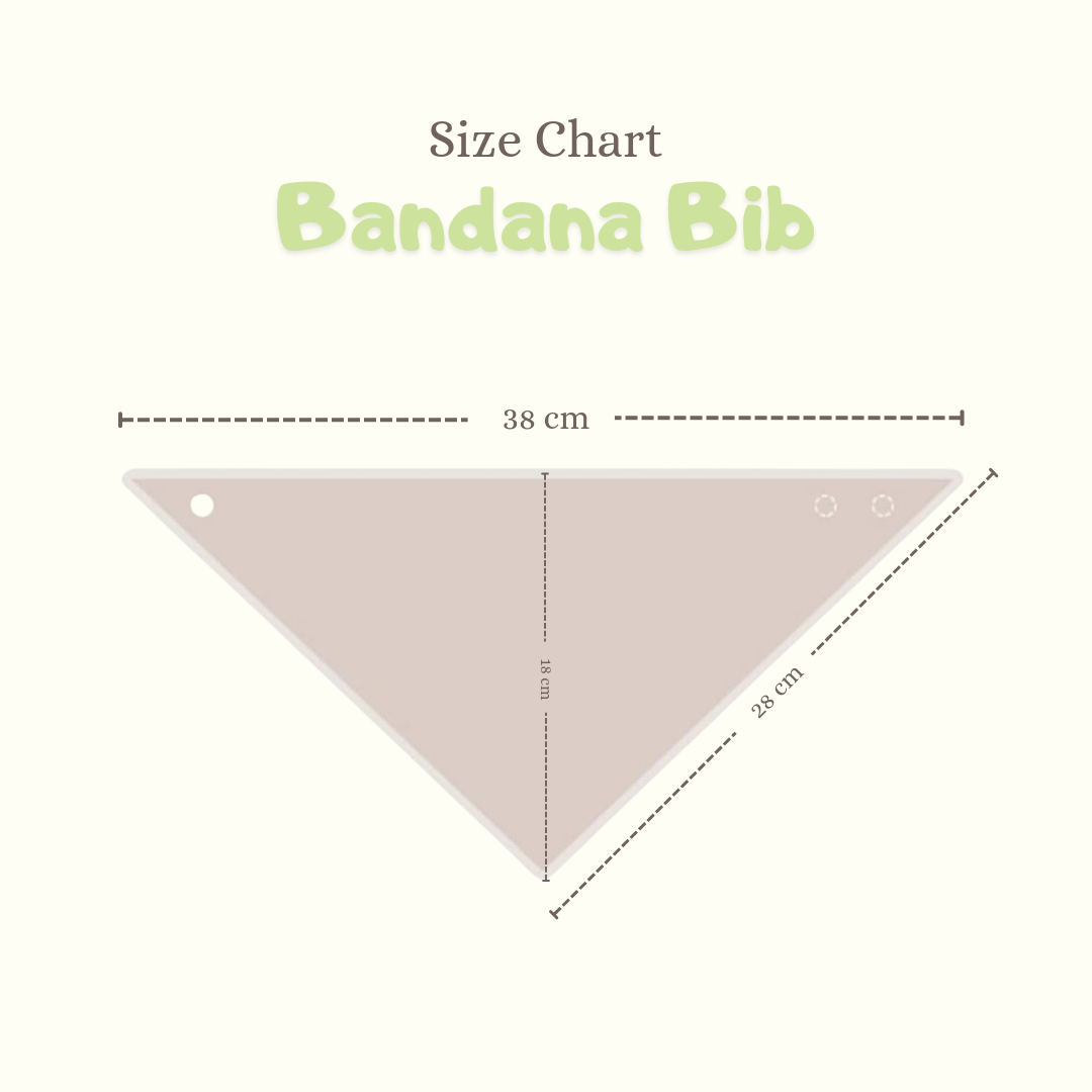 Personalized Boys Bandana Bibs